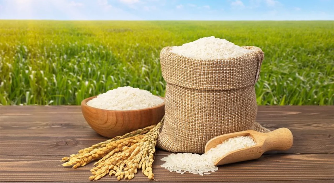 خواص و فواید برنج برای سلامتی بدن